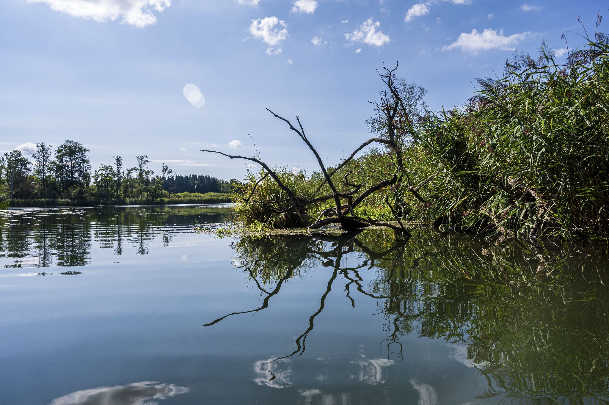 Kajaktour Leutstettner Moos 21.08.2022